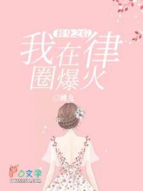 转身之后,我在律圈爆火